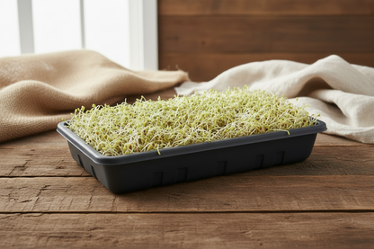 Alfalfa Sprouts 15g